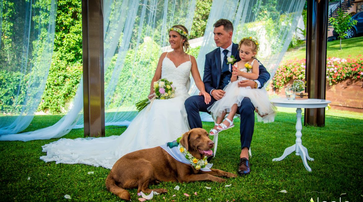 Cómo celebrar la boda perfecta