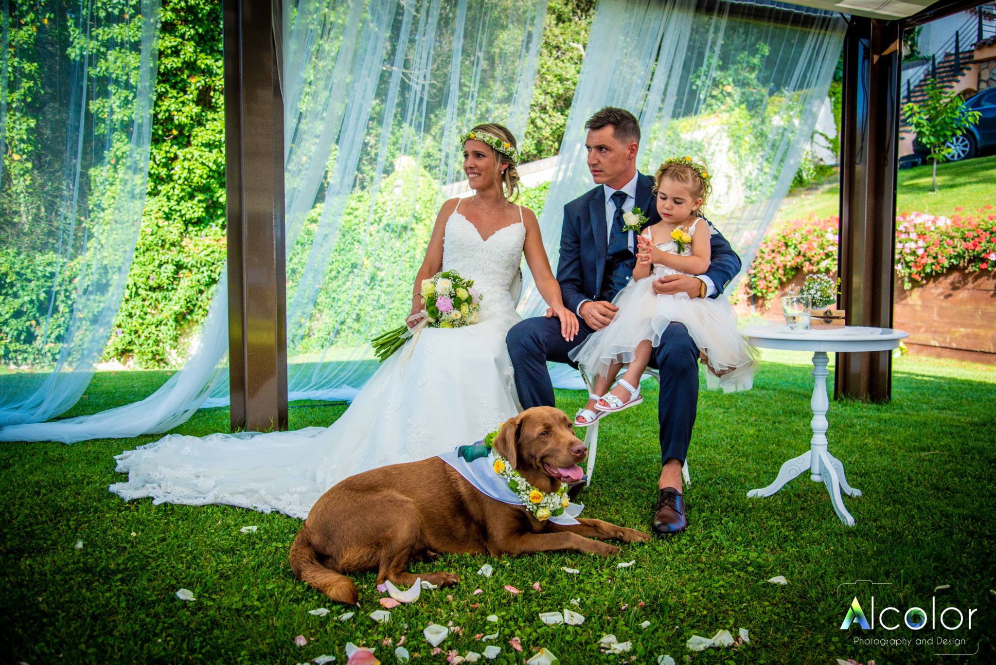 Cómo celebrar la boda perfecta